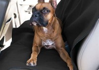 Petsmart Car Seat Covers For Dogs
