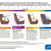 Forward Facing Car Seat Law In Washington State