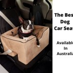 Best Dog Car Seat Australia