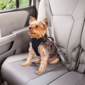 Good To Go Dog Seat Belt